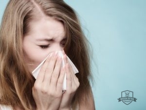 Whole House Air Filtration System